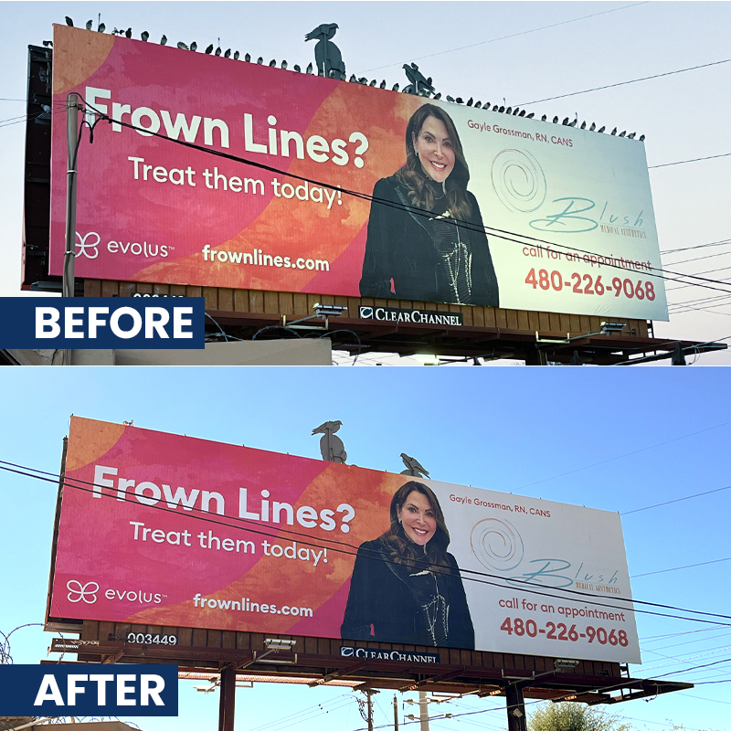 before and after bird deterrent system installed by Symterra to keep the birds off billboard